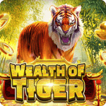 Wealth of Tiger